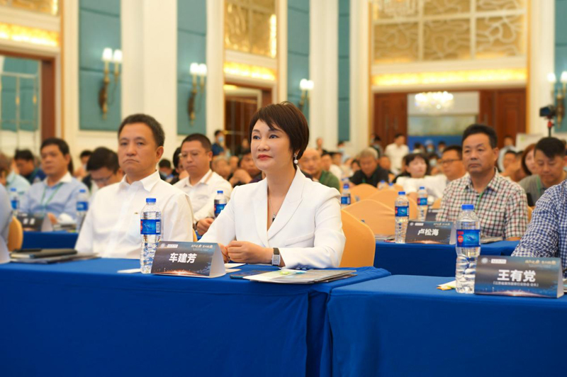 美洲豹装饰